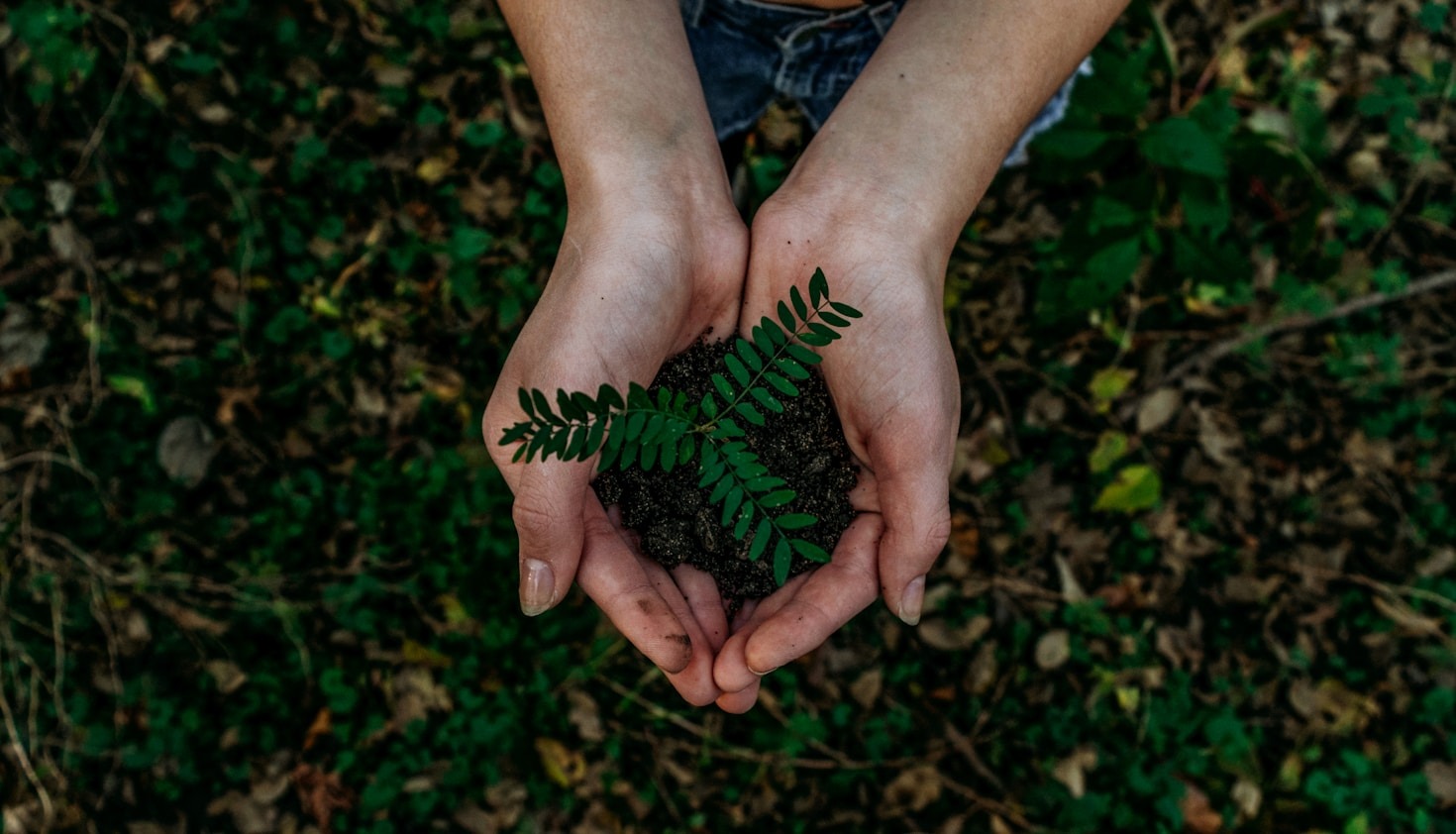 Waarom ecologisch advies essentieel is in deze tijd